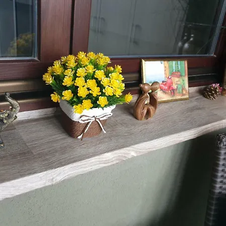 Apartman Sps