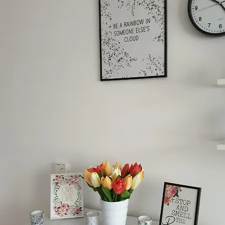 Apartman Sps *