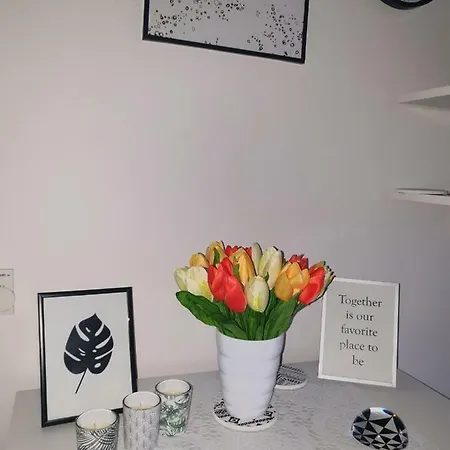 Apartman Sps
